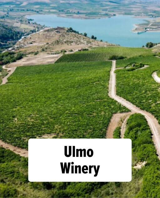 Ulmo Winery Sicili&euml;: wijngaarden op een heuvel die afloopt in een blauw meer